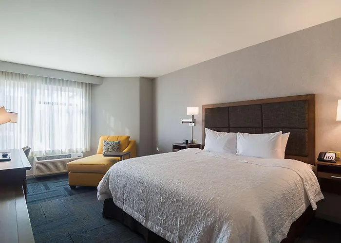 Hotel Hampton Inn Chicago North-Loyola Station, Il Chicago
