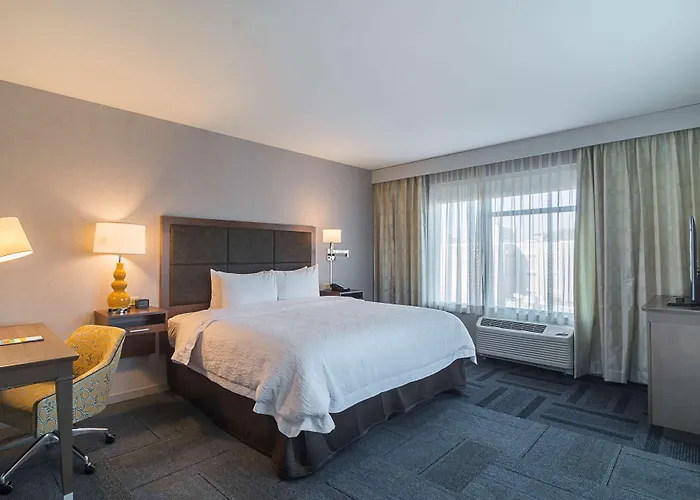 Hampton Inn Chicago North-Loyola Station, Il Hotel Chicago