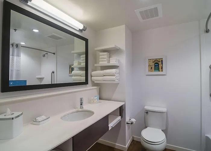 Hampton Inn Chicago North-Loyola Station, Il 3*
